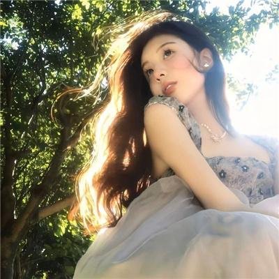 圣诞访客